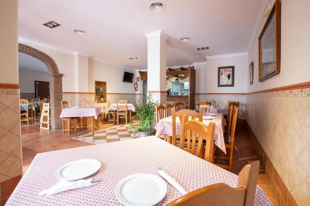 Hostel Hostal El Gallo Marbella