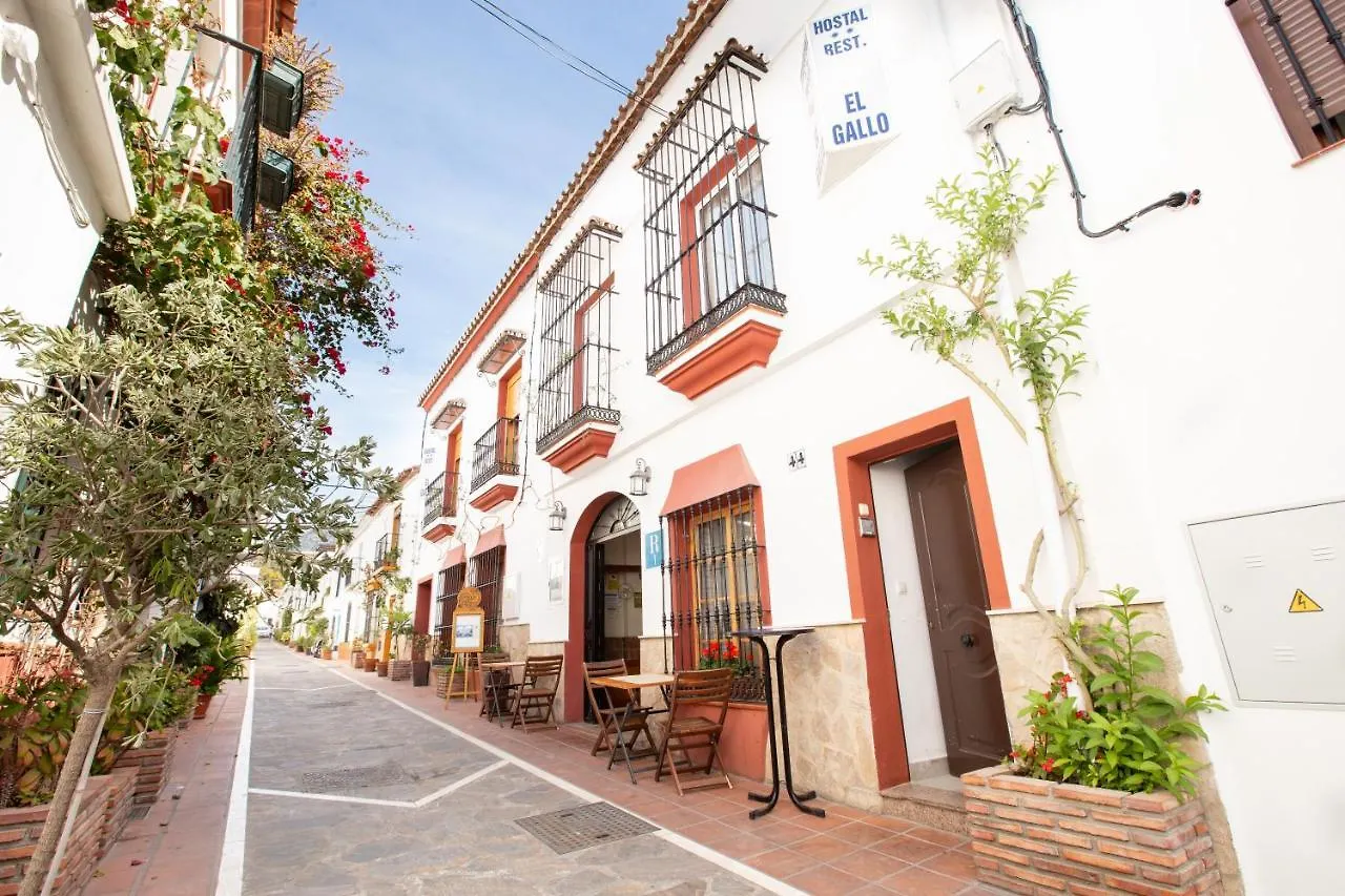 Hostal El Gallo Marbella