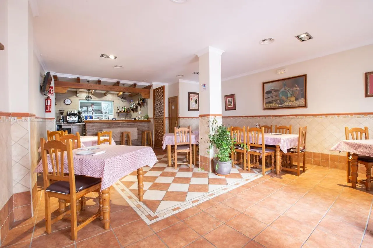 Hostel Hostal El Gallo Marbella